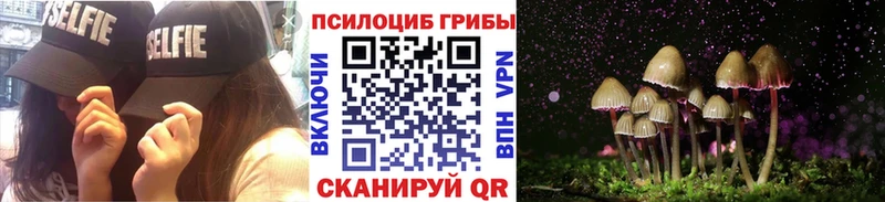 кракен как войти  Бакал  Галлюциногенные грибы мухоморы 